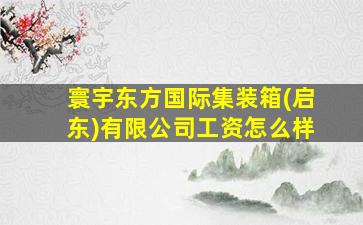 寰宇东方国际集装箱(启东)有限公司工资怎么样