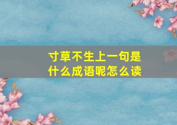 寸草不生上一句是什么成语呢怎么读