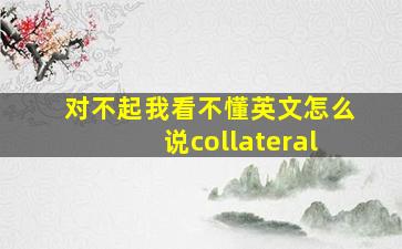 对不起我看不懂英文怎么说collateral