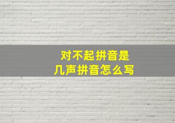 对不起拼音是几声拼音怎么写