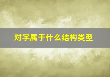 对字属于什么结构类型