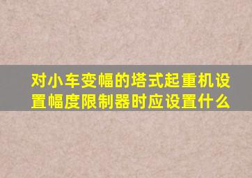 对小车变幅的塔式起重机设置幅度限制器时应设置什么