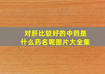 对肝比较好的中药是什么药名呢图片大全集