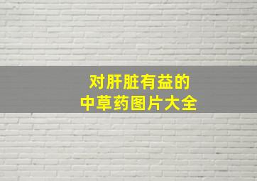 对肝脏有益的中草药图片大全