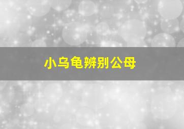 小乌龟辨别公母