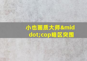 小也画质大师·cop暗区突围