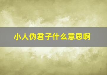 小人伪君子什么意思啊