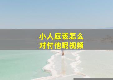 小人应该怎么对付他呢视频