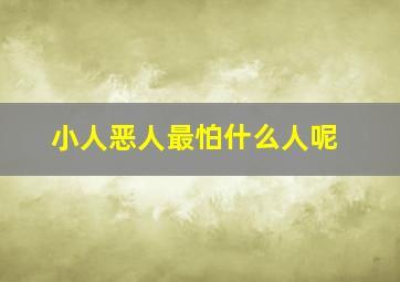 小人恶人最怕什么人呢