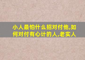 小人最怕什么招对付他,如何对付有心计的人,老实人