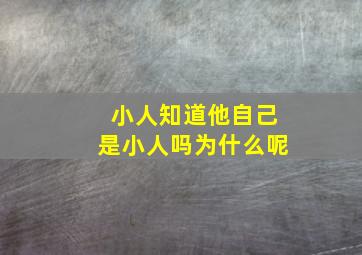 小人知道他自己是小人吗为什么呢