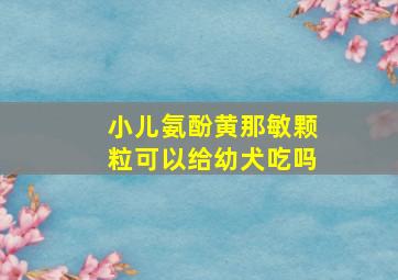 小儿氨酚黄那敏颗粒可以给幼犬吃吗