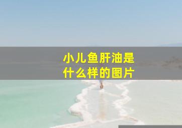 小儿鱼肝油是什么样的图片