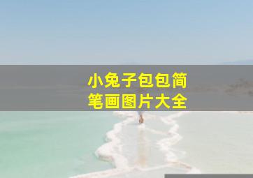 小兔子包包简笔画图片大全