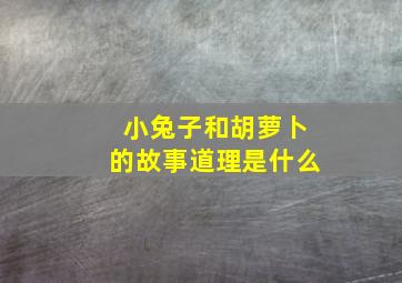 小兔子和胡萝卜的故事道理是什么