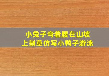 小兔子弯着腰在山坡上割草仿写小鸭子游泳