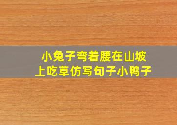 小兔子弯着腰在山坡上吃草仿写句子小鸭子