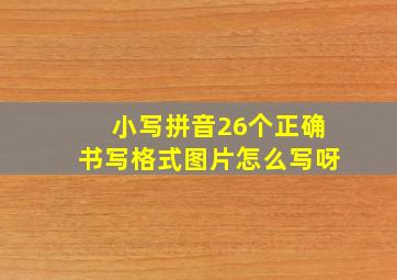 小写拼音26个正确书写格式图片怎么写呀