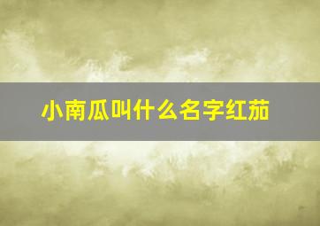 小南瓜叫什么名字红茄