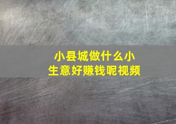 小县城做什么小生意好赚钱呢视频