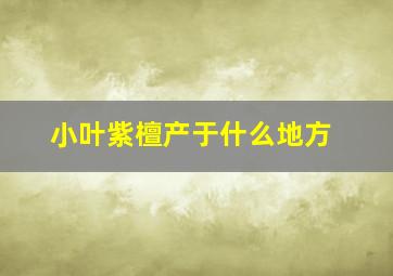 小叶紫檀产于什么地方