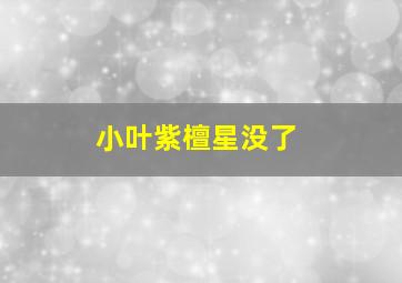 小叶紫檀星没了