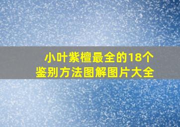 小叶紫檀最全的18个鉴别方法图解图片大全