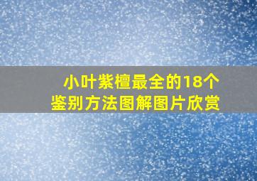 小叶紫檀最全的18个鉴别方法图解图片欣赏