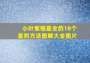 小叶紫檀最全的18个鉴别方法图解大全图片