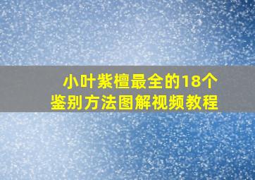 小叶紫檀最全的18个鉴别方法图解视频教程