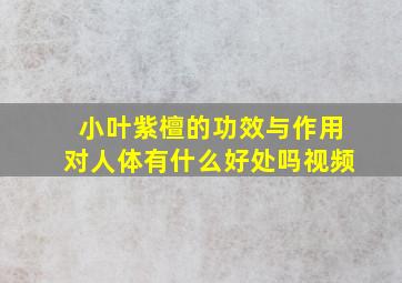 小叶紫檀的功效与作用对人体有什么好处吗视频