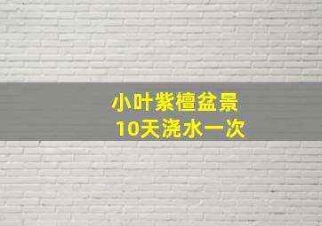 小叶紫檀盆景10天浇水一次