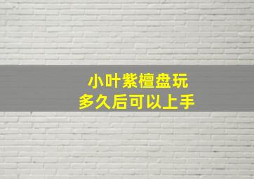 小叶紫檀盘玩多久后可以上手