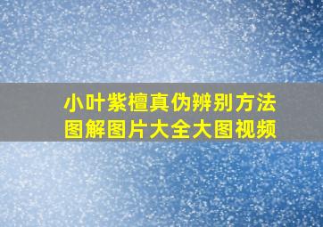 小叶紫檀真伪辨别方法图解图片大全大图视频