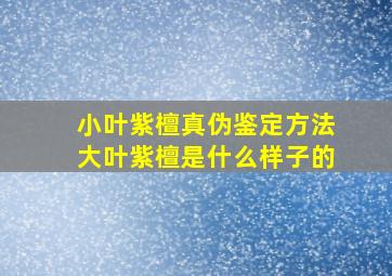 小叶紫檀真伪鉴定方法大叶紫檀是什么样子的