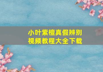 小叶紫檀真假辨别视频教程大全下载