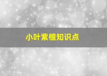 小叶紫檀知识点