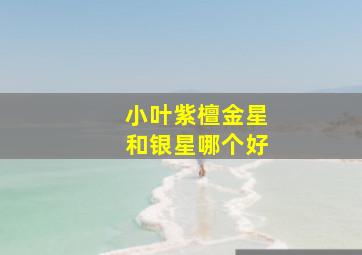 小叶紫檀金星和银星哪个好