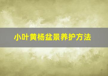 小叶黄杨盆景养护方法