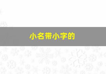 小名带小字的