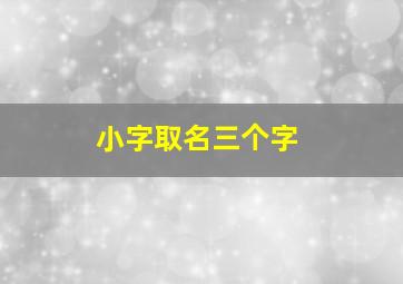 小字取名三个字