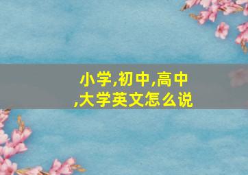 小学,初中,高中,大学英文怎么说