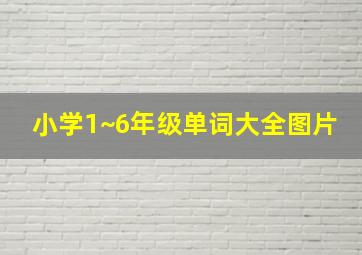 小学1~6年级单词大全图片