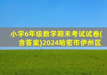 小学6年级数学期末考试试卷(含答案)2024哈密市伊州区