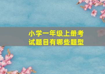 小学一年级上册考试题目有哪些题型