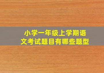 小学一年级上学期语文考试题目有哪些题型