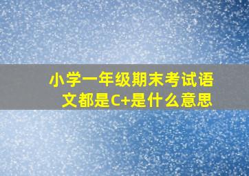 小学一年级期末考试语文都是C+是什么意思