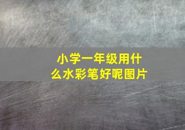 小学一年级用什么水彩笔好呢图片