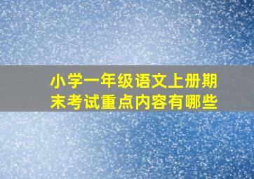 小学一年级语文上册期末考试重点内容有哪些