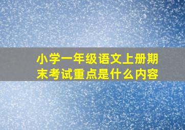 小学一年级语文上册期末考试重点是什么内容